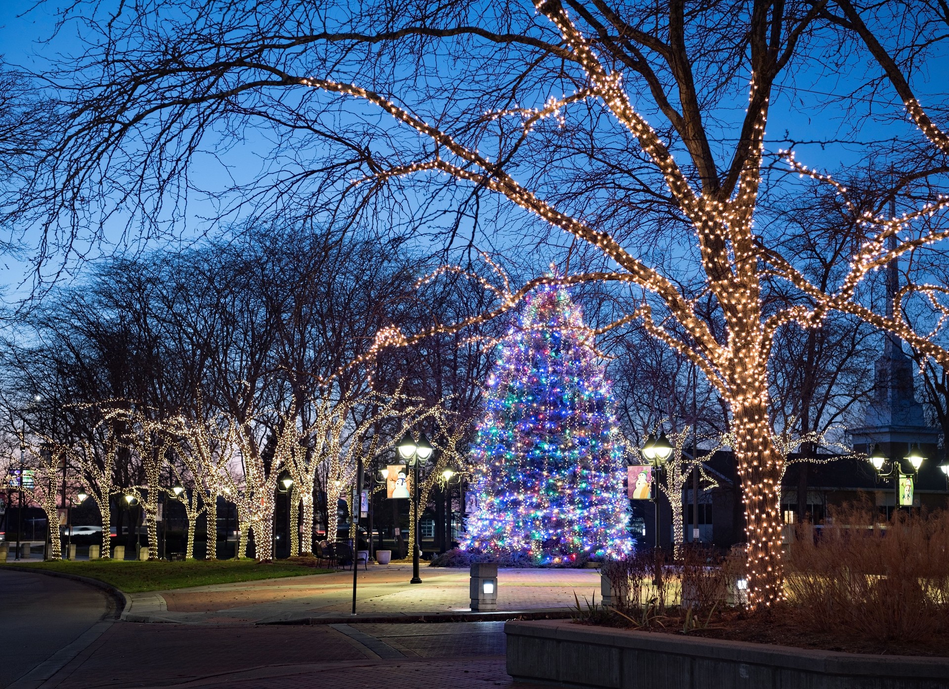 Twilight Outdoor Christmas Light Display